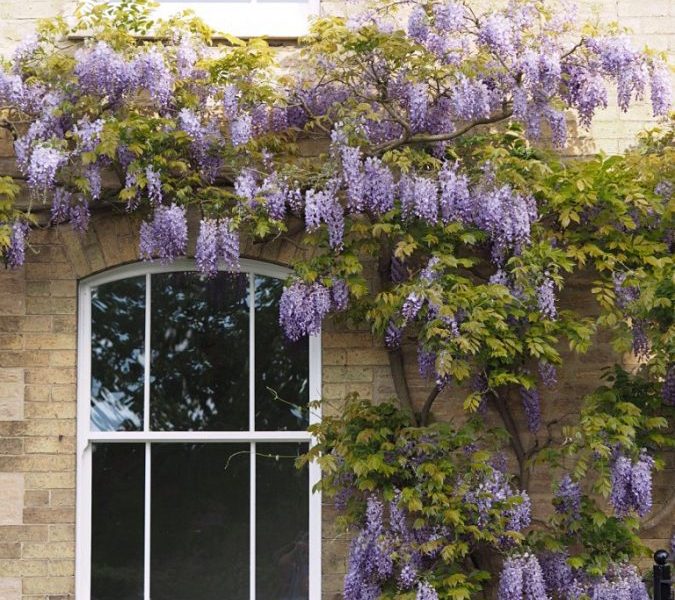 uPVC Sliding Sash Windows Falkirk